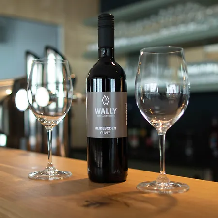 Wally Berg-appartements Zams